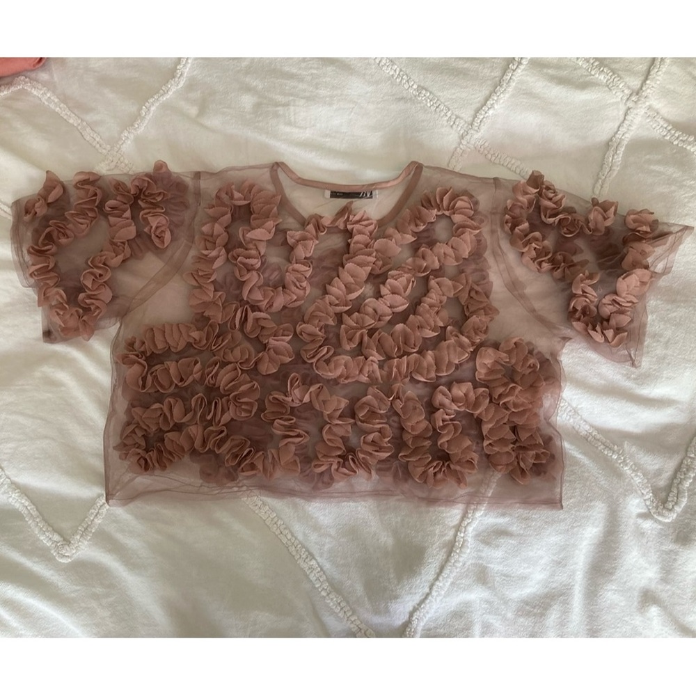 DONATED✖️ 
Ruffled Sheer Blouse - Picture 2 of 6